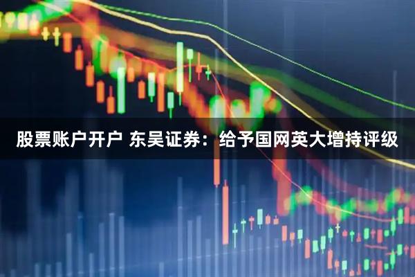 股票账户开户 东吴证券：给予国网英大增持评级