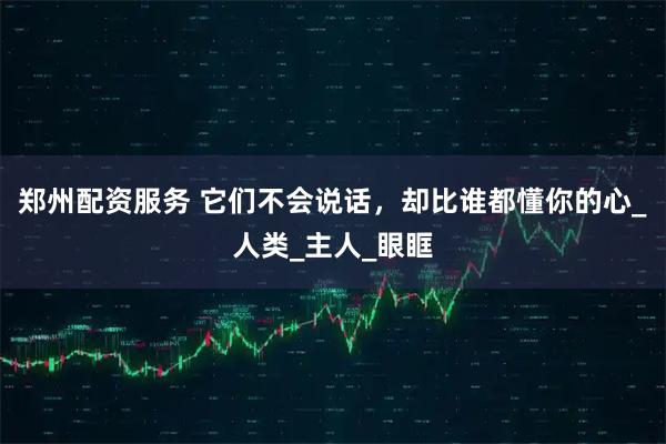 郑州配资服务 它们不会说话，却比谁都懂你的心_人类_主人_眼眶